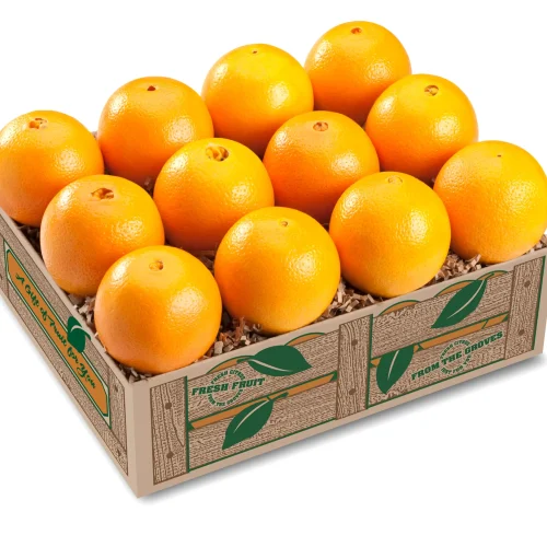 Florida Naval Oranges