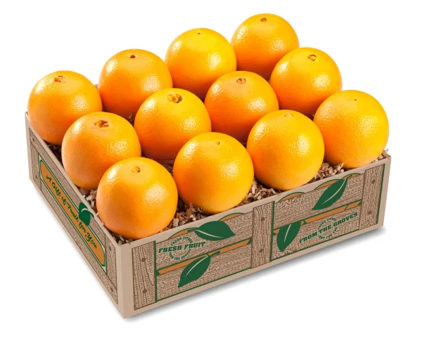 Florida Naval Oranges